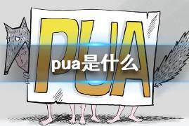 pua是什么 pua组织介绍