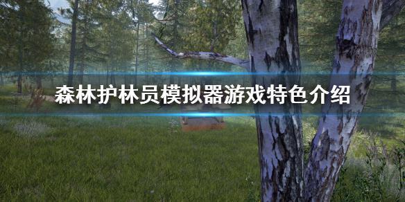 《森林护林员模拟器》好玩吗 游戏特色介绍