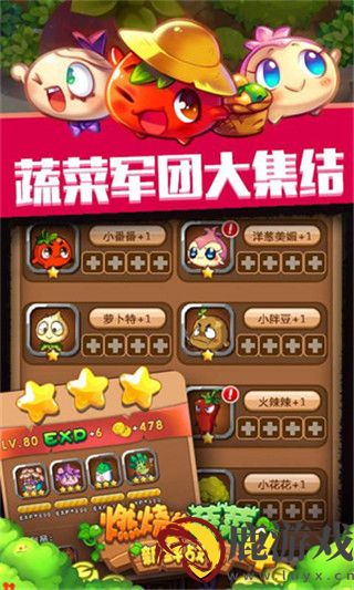 燃烧的蔬菜4新鲜战队最新版下载