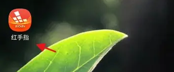 红手指app如何设置弹窗广告弹出