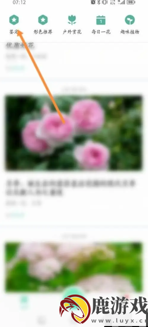 形色识别中草药软件如何操作