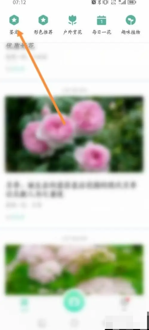 形色识别中草药软件如何操作-形色软件如何帮助鉴定植物
