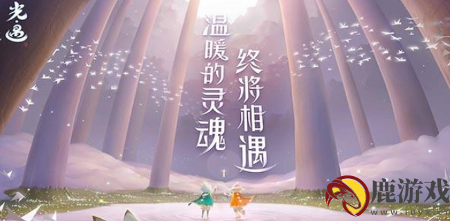 光遇的琴怎么获得