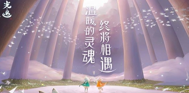 光遇的琴怎么获得(光遇的琴获得方法)