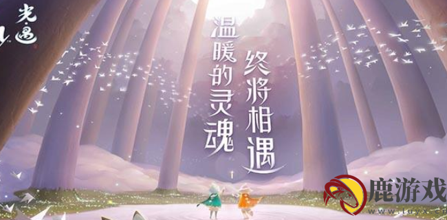光遇遗忘方舟地之灵在哪里