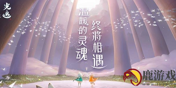 光遇雨林躲猫猫先祖在哪里