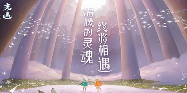 光遇雨林躲猫猫先祖在哪里(光遇雨林躲猫猫先祖位置介绍)