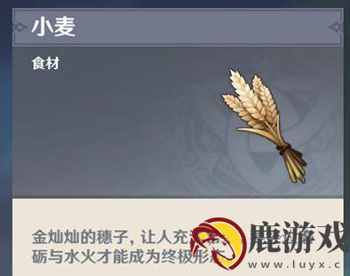 原神小麦怎么获得
