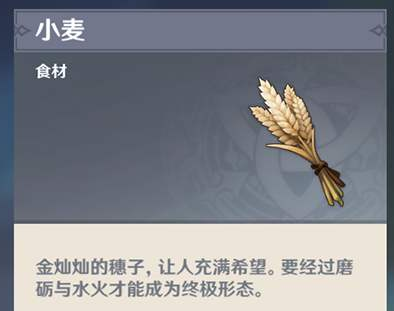 原神小麦怎么获得(原神小麦位置分享)