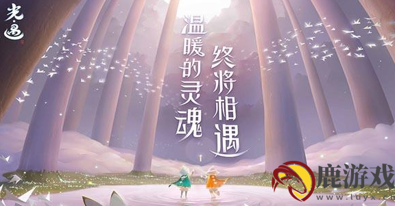 光遇药水在哪里买