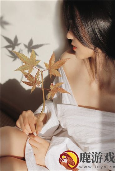 幸福宝异航蘑菇