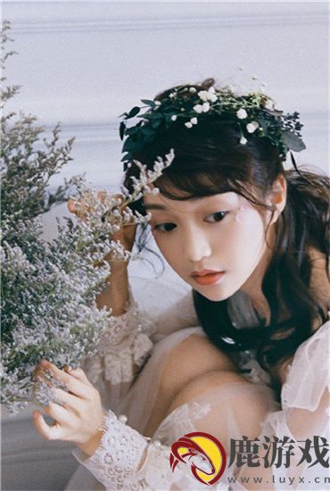 旧版浪花直播下载