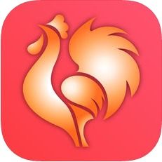 大公鸡排列五官方正版下载