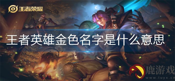 王者荣耀英雄金色名字是什么意思