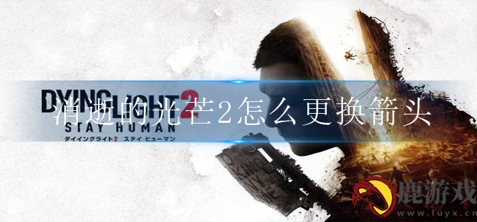 消逝的光芒2怎么更换箭头