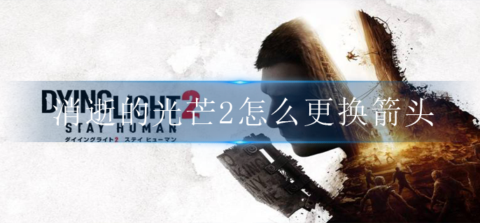 消逝的光芒2怎么更换箭头(箭头更换方法)