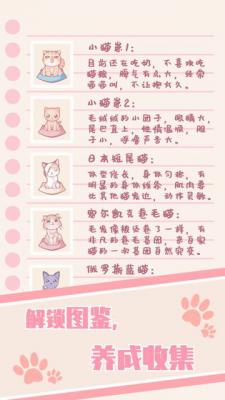 猫咪养成：云撸猫官网版游戏截图（4）