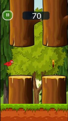 小鸟飞往森林游戏截图（3）