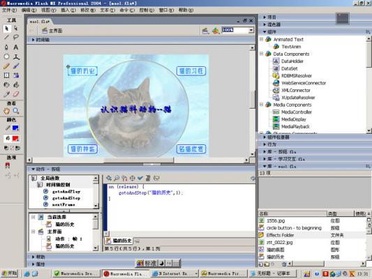 Macromedia Flash 8.0中文版软件截图（7）