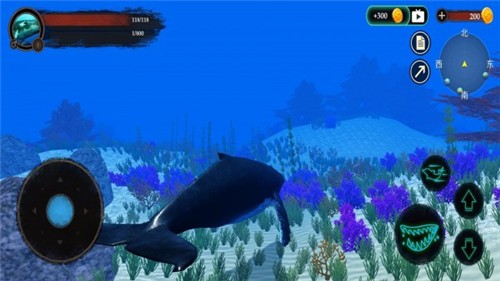 海洋动物世界游戏截图（2）
